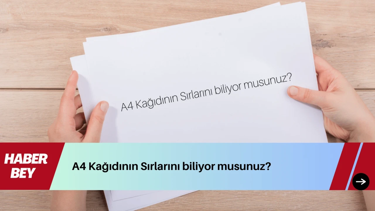 A4 Kağıdı nedir? Yüzlerce Binlerce kez kullandığınız A4 Kağıdının sırları...