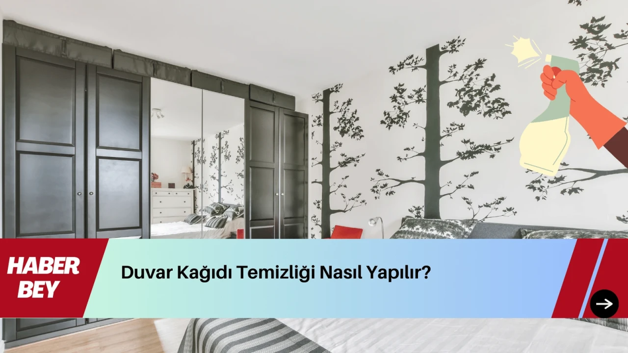 Duvar kağıdı temizliği nasıl temizlenir? Ne ile En kolay Hangi deterjan ile temizlenir?