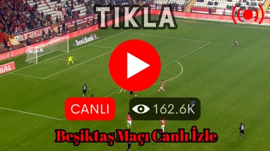 Beşiktaş - Adana Demirspor Maçı