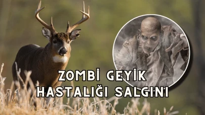 Zombi Geyik Hastalığı: Doğanın Korkunç Dönüşümü